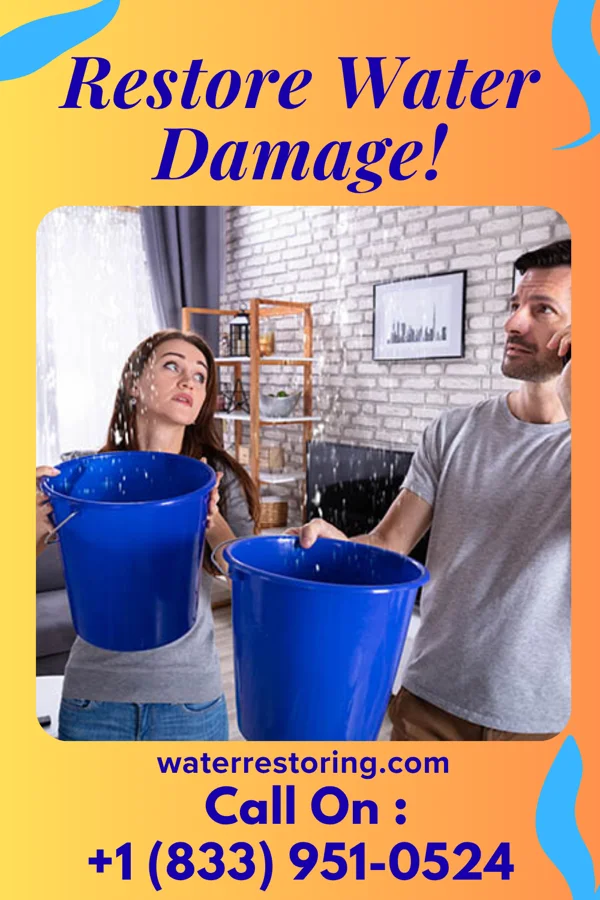 water restoration Ace Water Damage Inc Indian Lake