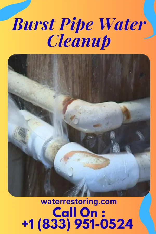 Burst Pipe Water Cleanup in Indian Lake, PA