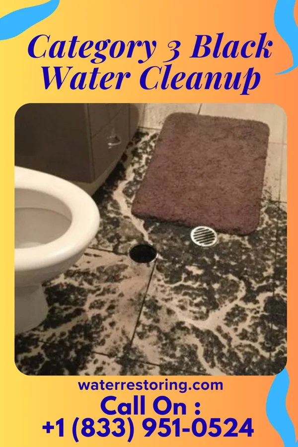 Category 3 Black Water Cleanup in Indian Lake, PA