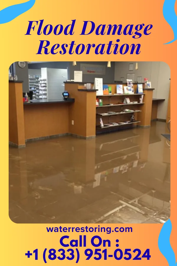 Flood Damage Restoration in Indian Lake, PA